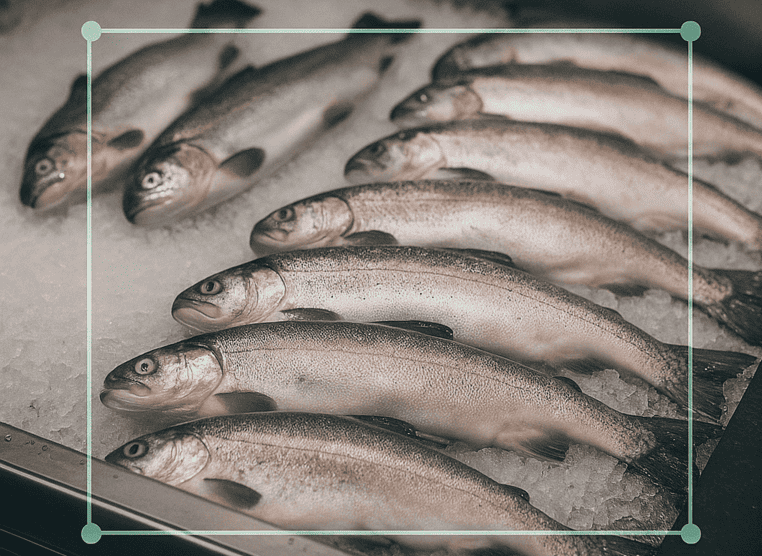 task of project image