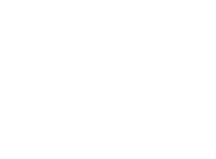Отчеты и статистика