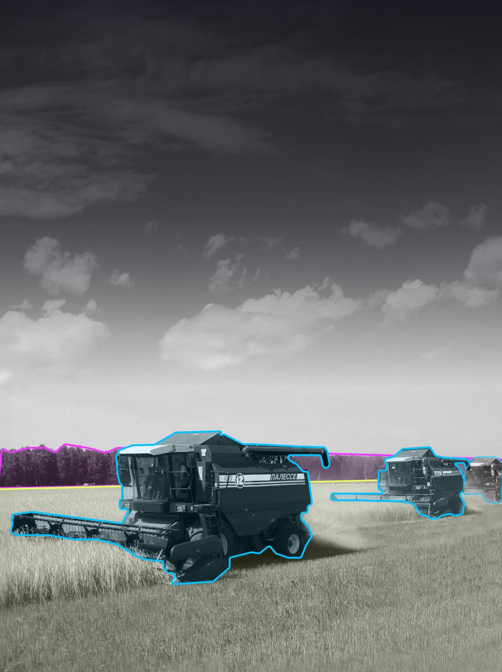 Семантическая сегментация