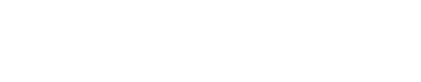 RTSP / WebRTSP